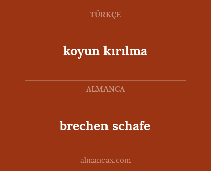 brechen schafe - koyun kırılma