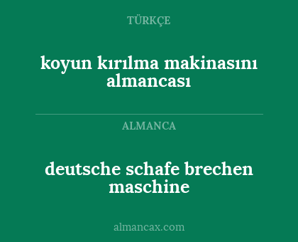 koyun kırılma makinasını  almancası - deutsche schafe brechen maschine