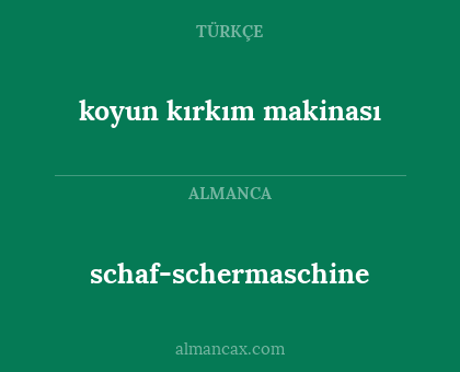 schaf-schermaschine - koyun kırkım makinası