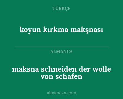 koyun kırkma makşnası - maksna schneiden der wolle von schafen