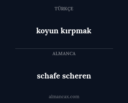 schafe scheren - koyun kırpmak