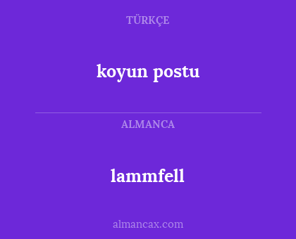 lammfell - koyun postu