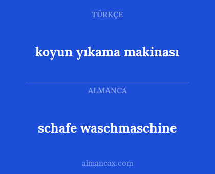 koyun yıkama makinası - schafe waschmaschine