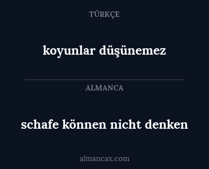 schafe können nicht denken - koyunlar düşünemez