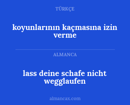 koyunlarının kaçmasına izin verme - lass deine schafe nicht wegglaufen