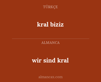 wir sind kral - kral biziz