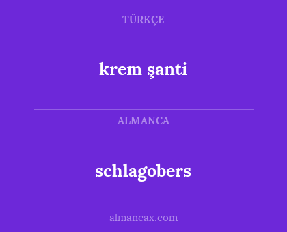 krem şanti - schlagobers
