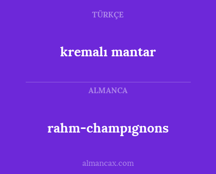 rahm-champıgnons - kremalı mantar