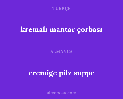 kremalı mantar çorbası - cremige pilz suppe