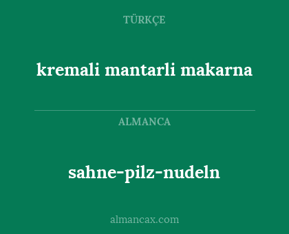kremali mantarli makarna - sahne-pilz-nudeln