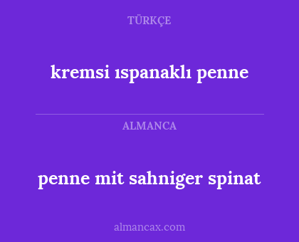 penne mit sahniger spinat - kremsi ıspanaklı penne