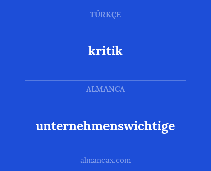 kritik - unternehmenswichtige