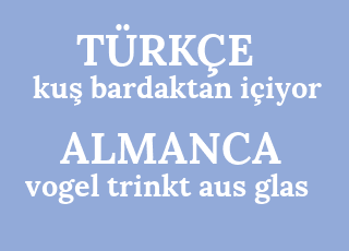 ku%C5%9F+ti kaca+i%C3%A7iyor-vogel+trinkt+aus+glas.png