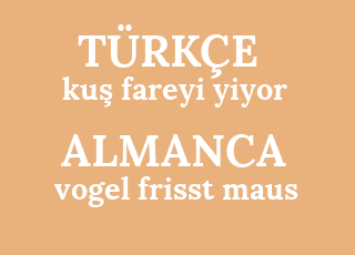 ku%C5%9F+fareyi+yiyor-vogel+frisst+maus.png