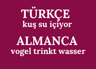 ku%C5%9F+su+i%C3%A7iyor-vogel+trinkt+wasser.png