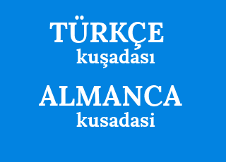 ku%C5%9Fadas%C4%B1-kusadasi.png