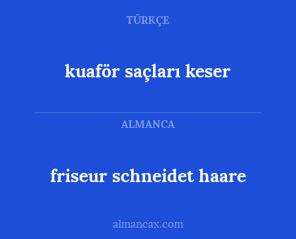 friseur schneidet haare - kuaför saçları keser