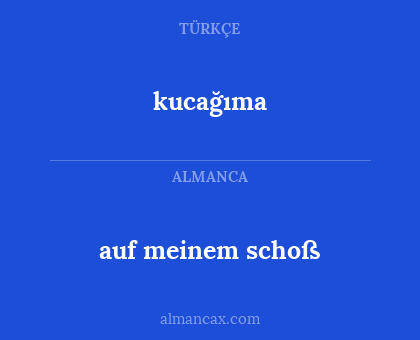 auf meinem schoß - kucağıma