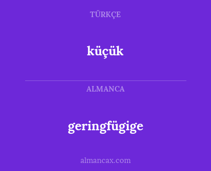 geringfügige - küçük