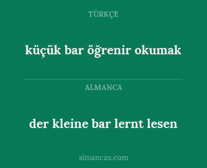 der kleine bar lernt lesen - küçük bar öğrenir okumak