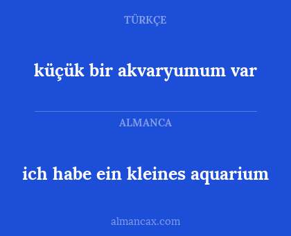 ich habe ein kleines aquarium - küçük bir akvaryumum var