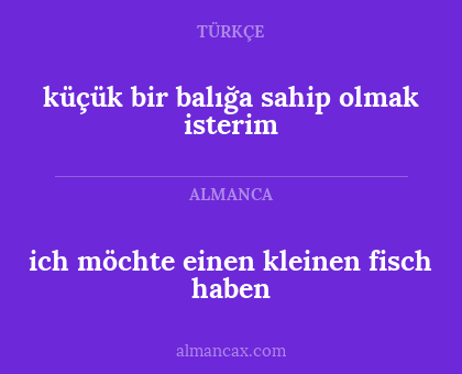 ich möchte einen kleinen fisch haben - küçük bir balığa sahip olmak isterim