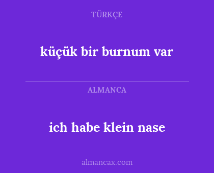 küçük bir burnum var - ich habe klein nase