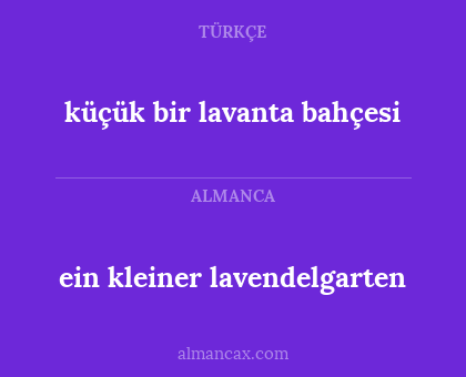ein kleiner lavendelgarten - küçük bir lavanta bahçesi