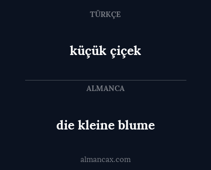 küçük çiçek - die kleine blume