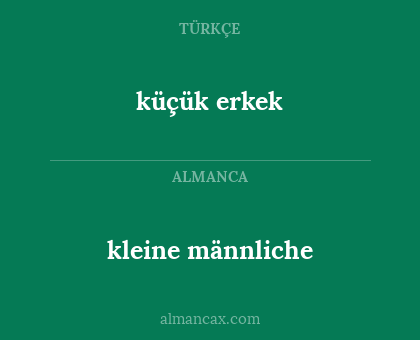 kleine männliche - küçük erkek