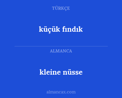 kleine nüsse - küçük fındık