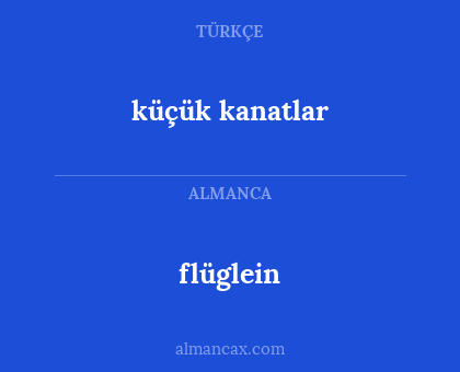 küçük kanatlar - flüglein