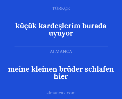 küçük kardeşlerim burada uyuyor - meine kleinen brüder schlafen hier