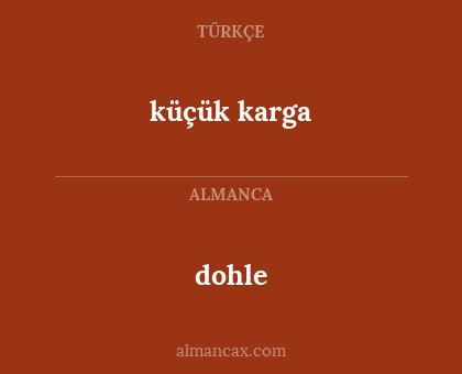 küçük karga - dohle