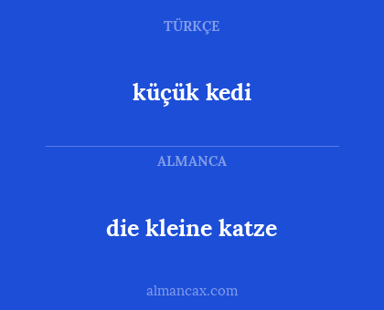 die kleine katze - küçük kedi