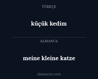 küçük kedim - meine kleine katze