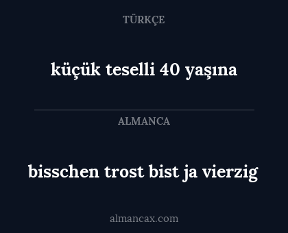 bisschen trost bist ja vierzig - küçük teselli 40 yaşına