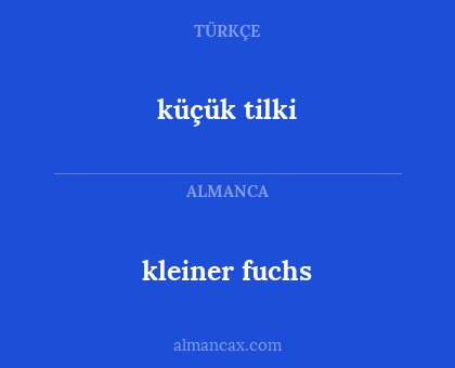 kleiner fuchs - küçük tilki
