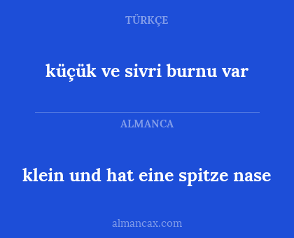 küçük ve sivri burnu var - klein und hat eine spitze nase
