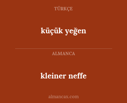 küçük yeğen - kleiner neffe