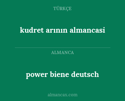 power biene deutsch - kudret arının almancasi