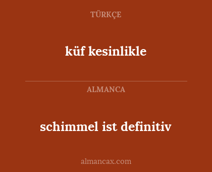 küf kesinlikle - schimmel ist definitiv