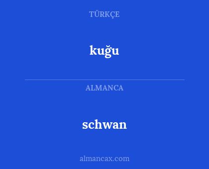 kuğu - schwan