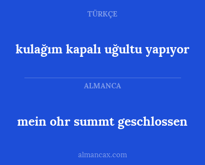 mein ohr summt geschlossen - kulağım kapalı uğultu yapıyor