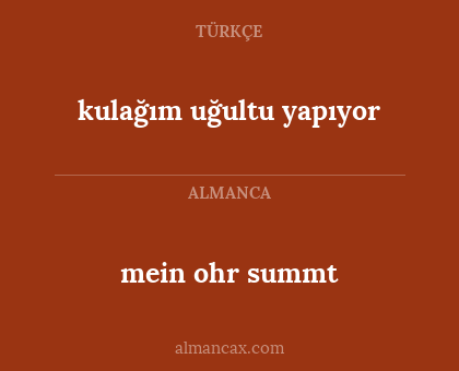 mein ohr summt - kulağım uğultu yapıyor