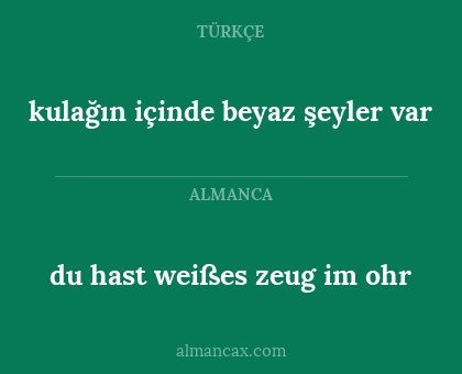 du hast weißes zeug im ohr - kulağın içinde beyaz şeyler var