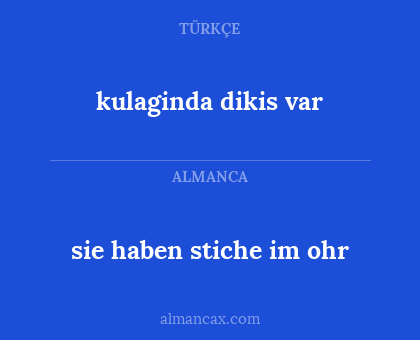 kulaginda dikis var - sie haben stiche im ohr