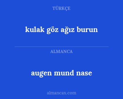 kulak göz ağız burun - augen mund nase