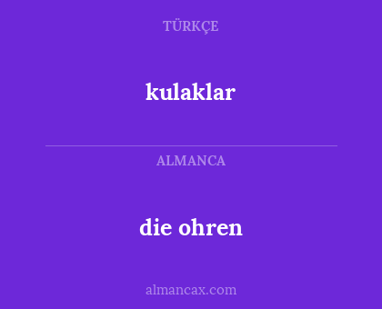 die ohren - kulaklar