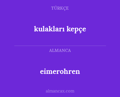 eimerohren - kulakları kepçe